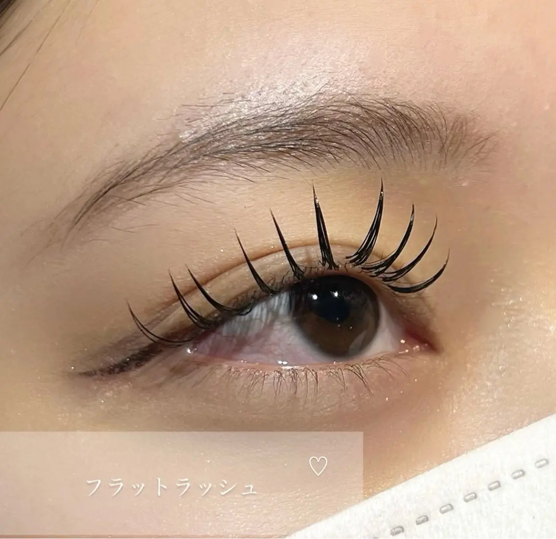 ミニモ限定🤍コーティング剤‎🤍プレゼント付🎀＋フラットラッシュ100本🎀の写真