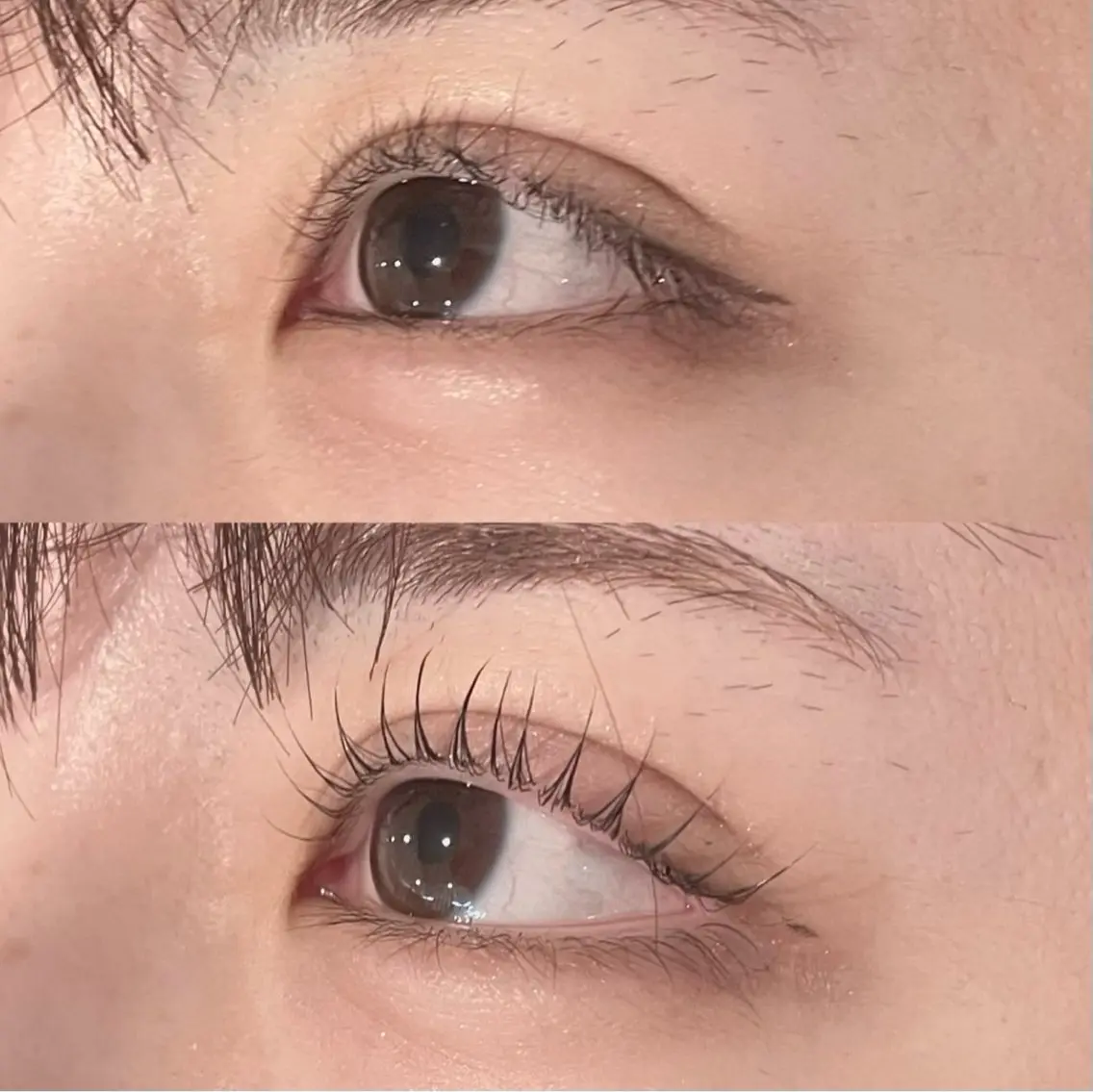 マツエク・マツパ レース アドラブル eyeのマツエク・マツパデザイン