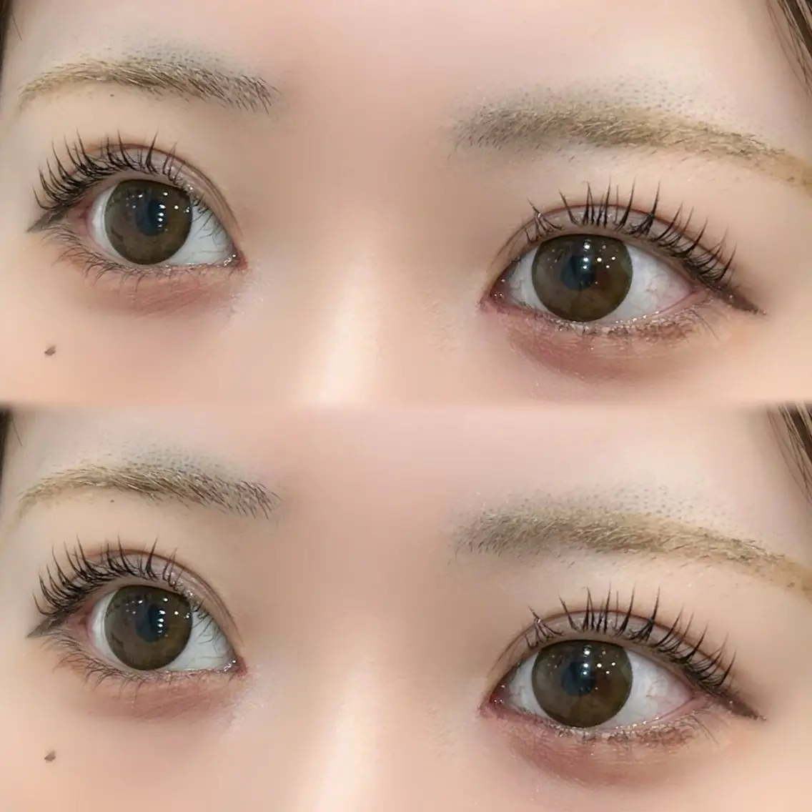 【垢抜けセット✨】アイブロウwax+まつ毛パーマ上のみ✨/高濃度トリートメント仕上げ/川越/本川越/まつパの写真