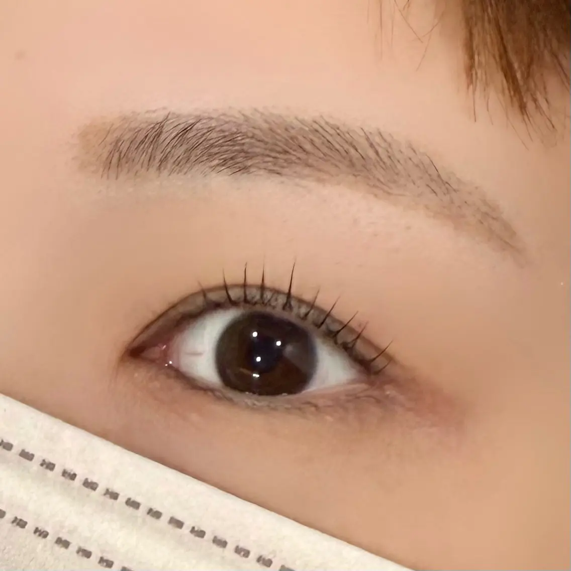 【ご新規様セット価格】アイブロウWAX × まつ毛パーマ(トリートメント付き👀🩷️)の写真