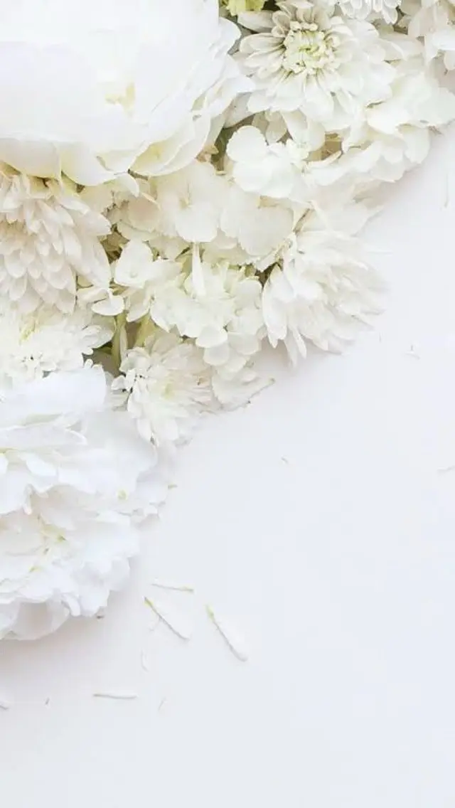 🌸 Sakura JAMのマツエク・マツパデザイン