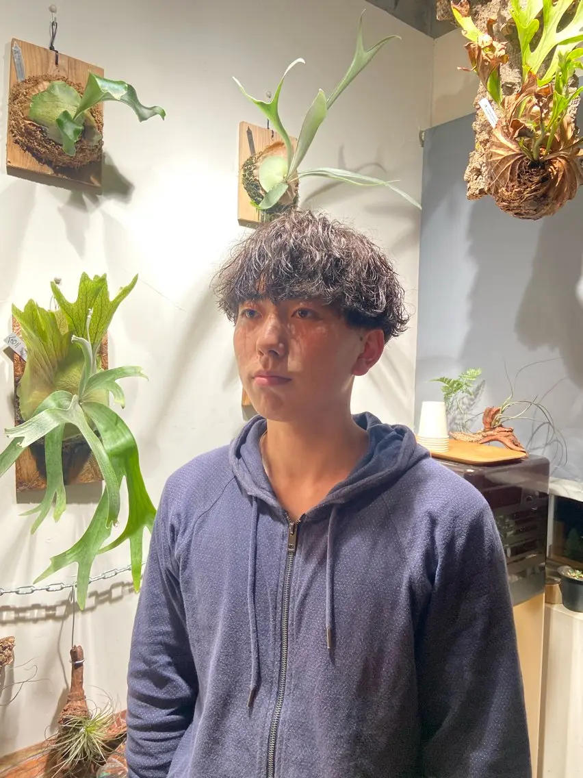 ショート メンズ メンズパーマ 岡本 蓮太のヘアスタイル