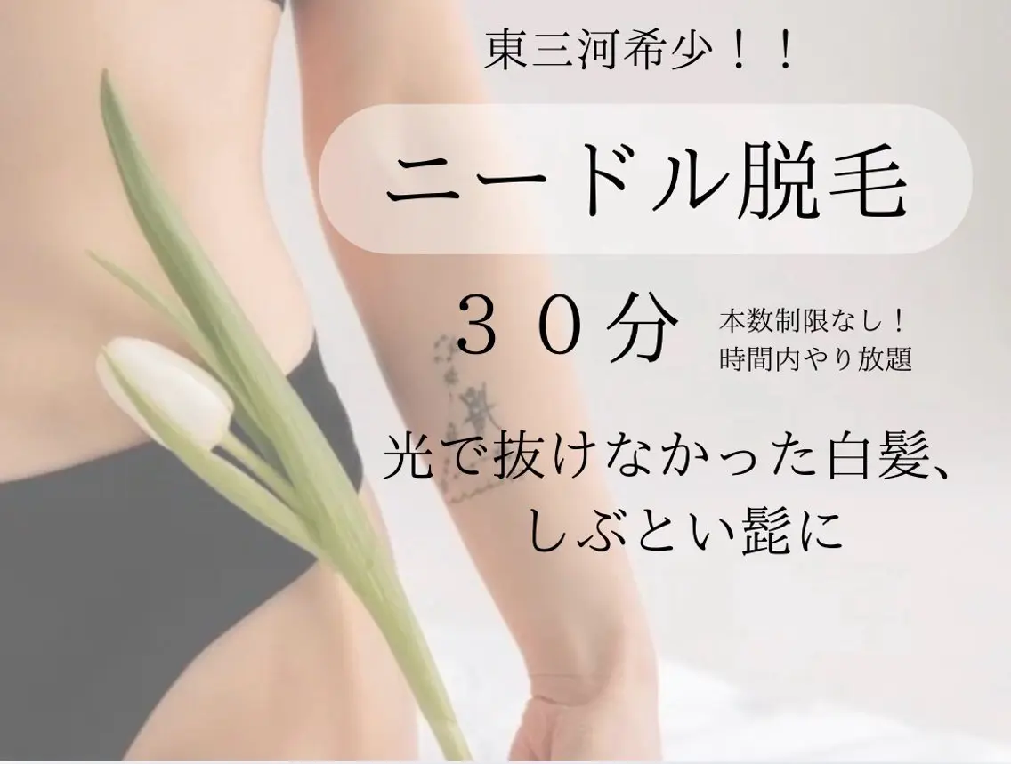ニードル脱毛【30分】の写真