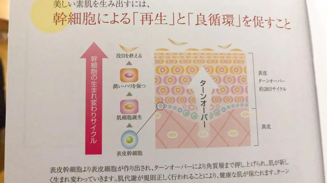 宜野湾美肌脱毛fuu okinawaタイラのエステ・リラクイメージ