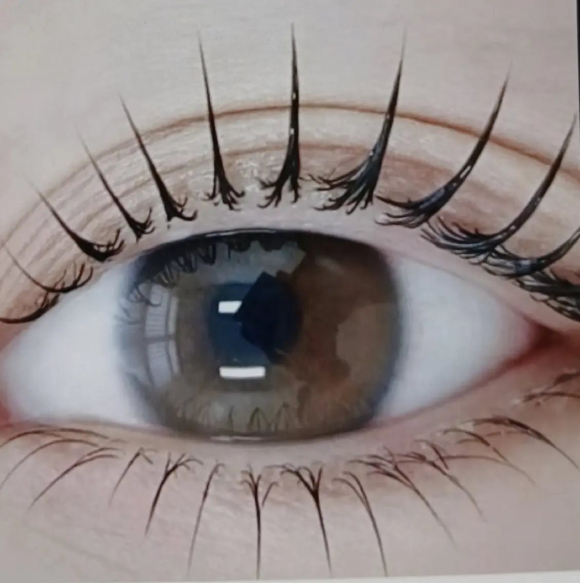 マツエクダブルフラットラッシュ60束、 4,500の写真