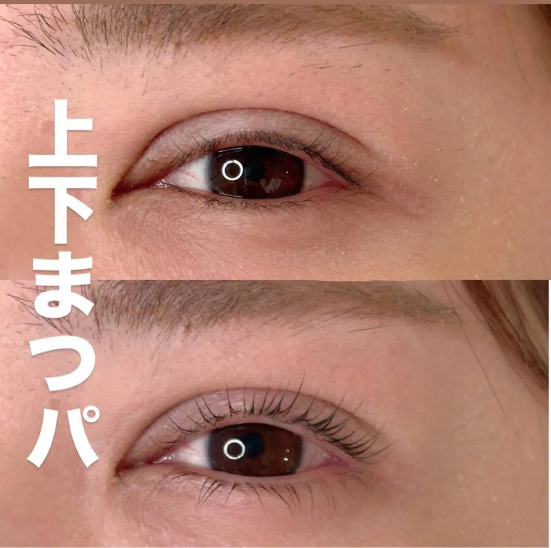 マツエク・マツパ ケラチンラッシュリフト パリジェンヌラッシュリフト 一重×まつ毛パーマ BY COLOR eyedesinのマツエク・マツパデザイン