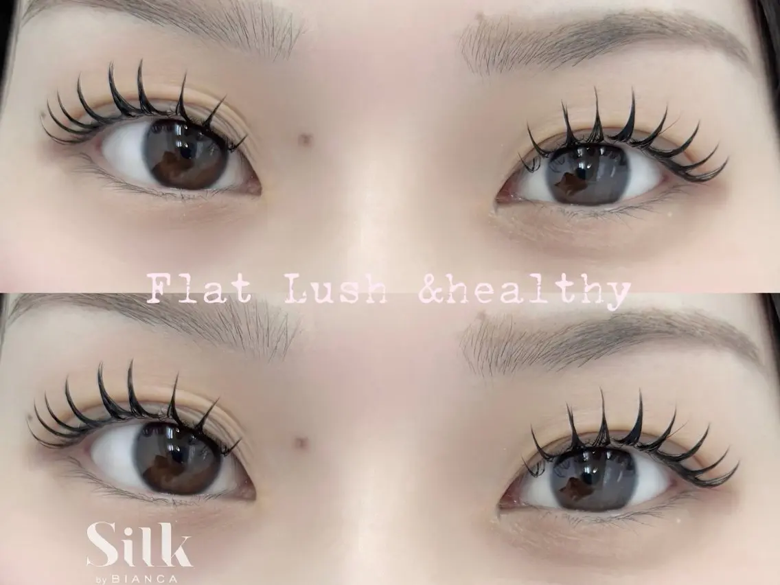 💖&healthyアンドヘルシー フラットラッシュ100~120本&まつげパーマ /マツエク/大宮の写真