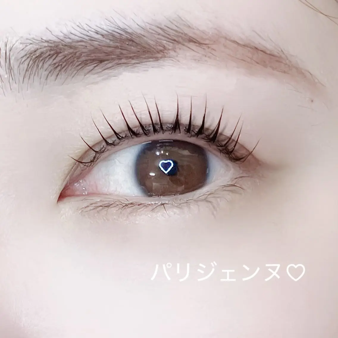 💫パリジェンヌorまつ毛パーマ選べます🙋♀️ミニモ学割/U24🌟の写真