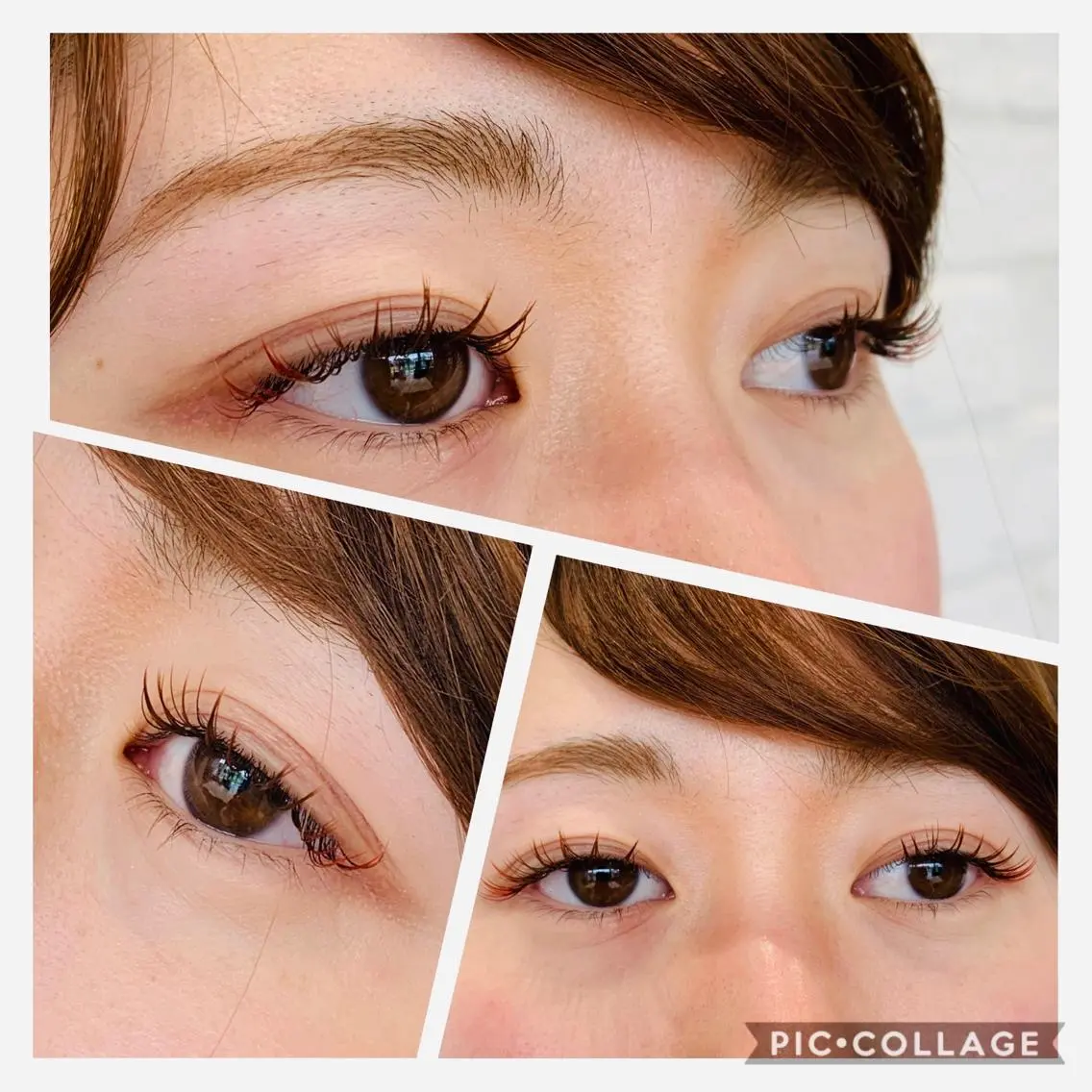 マツエク・マツパ カラーマツエク Daisy hair eyelashのマツエク・マツパデザイン