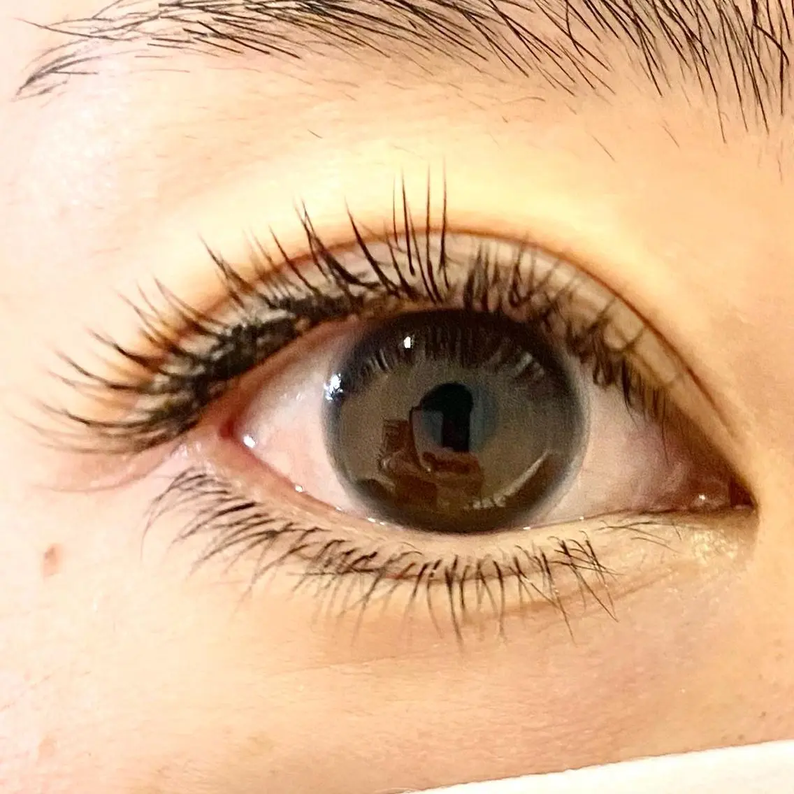 マツエク・マツパ 付け放題 フラットラッシュ Le ciel eyes 森本のその他イメージ