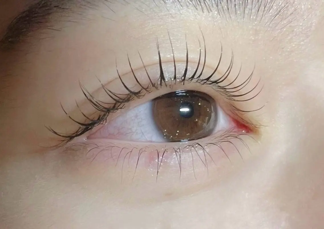 🎀まつげパーマ上下🎀の写真
