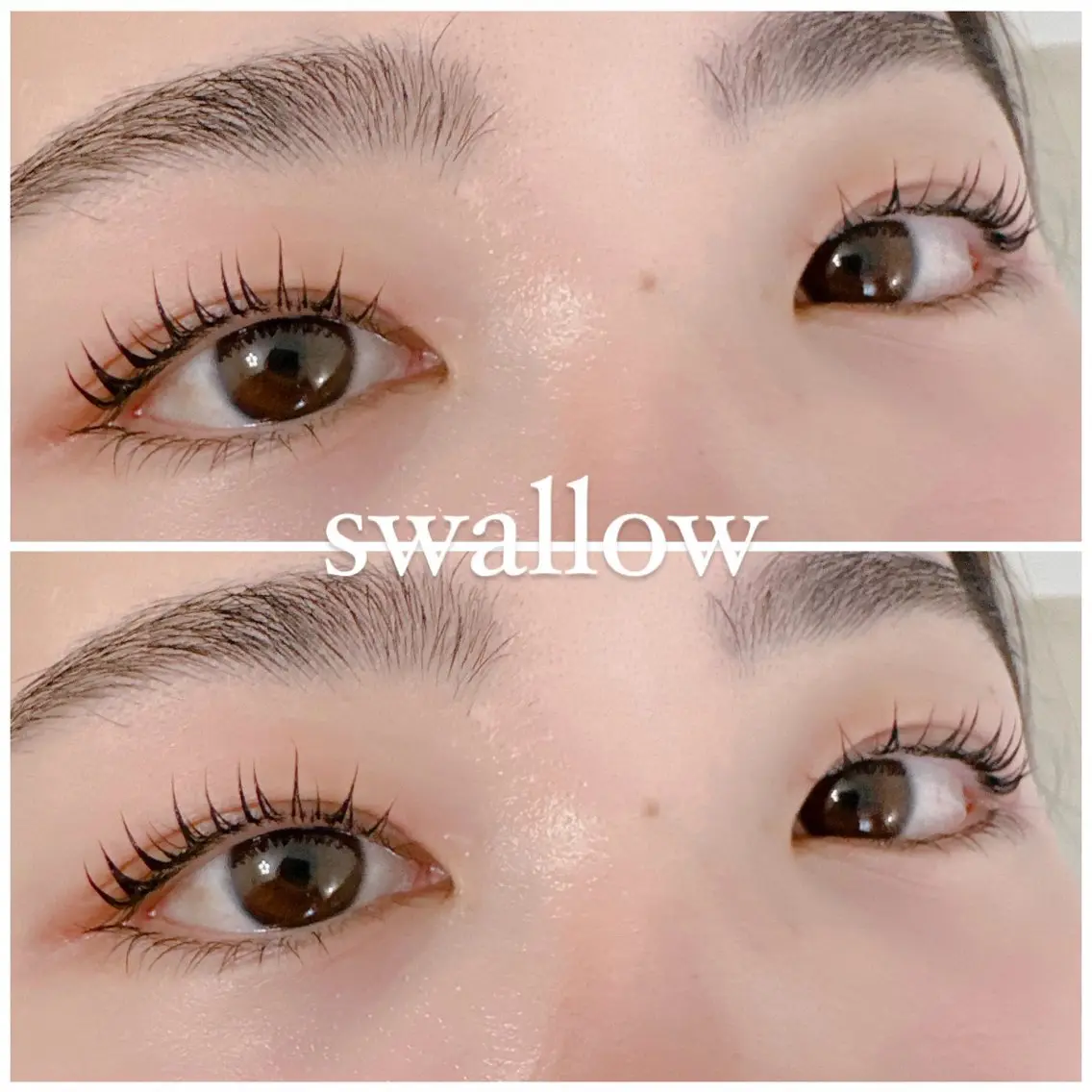 マツエク・マツパ Dカール 一重×まつ毛パーマ マツパ swallow 奈良西大寺店のマツエク・マツパデザイン