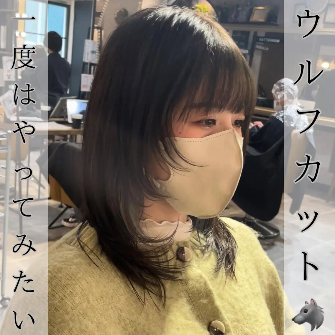ミディアム カラー ウルフカット ヘアカラー トリートメント 🫧小顔顔周りカット レイヤー/縮毛/白倉のヘアスタイル