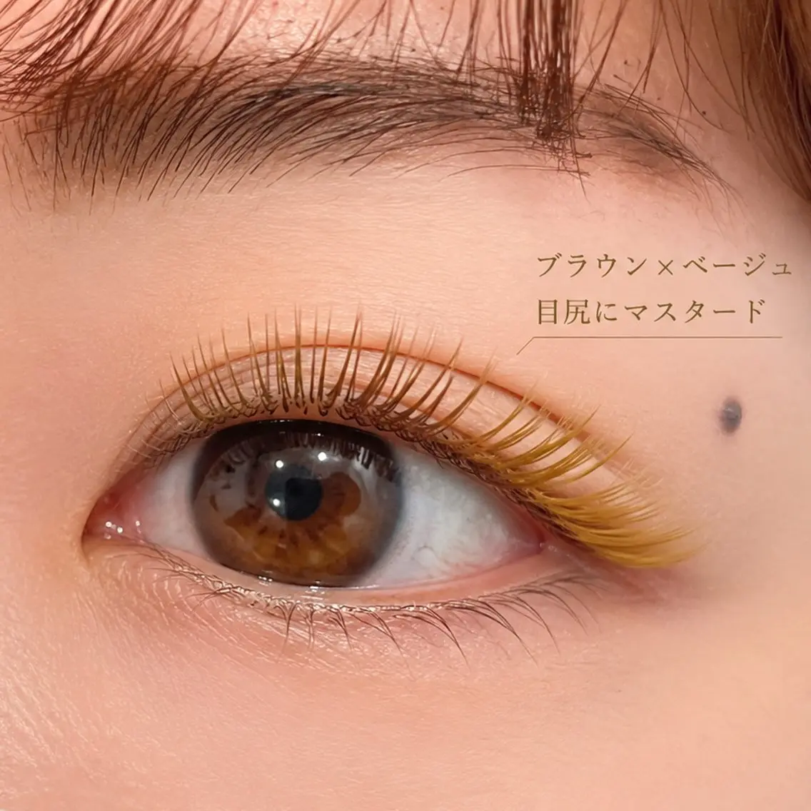 カラーエクステ120本×&healthyの写真
