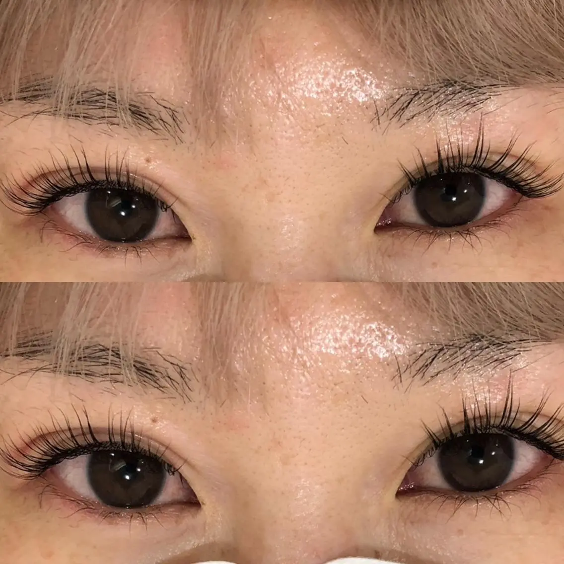ご新規様限定‼️まつげパーマ👀の写真