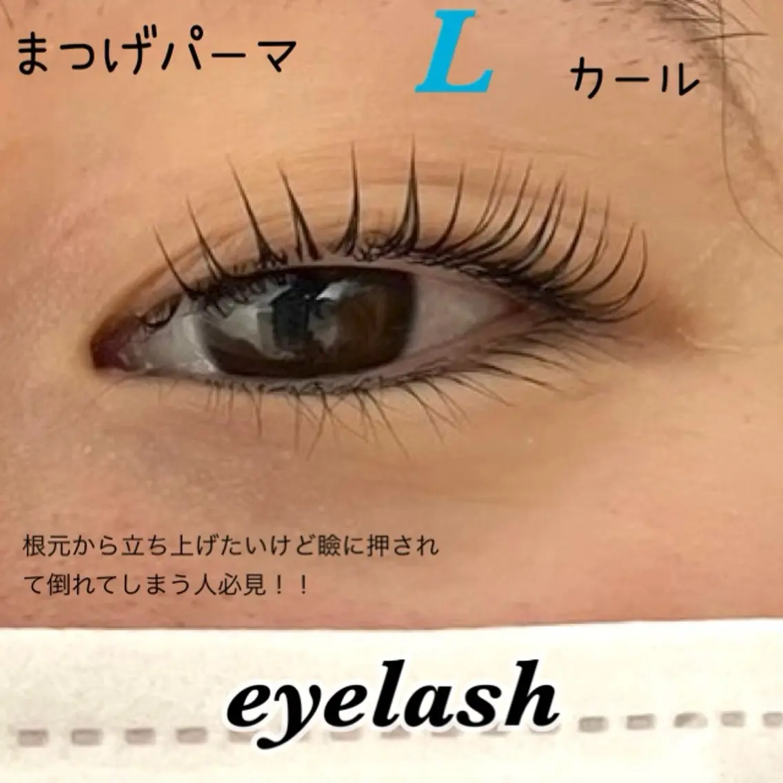 まつ毛パーマ👀Lかーる （コーティング付き✨️）の写真