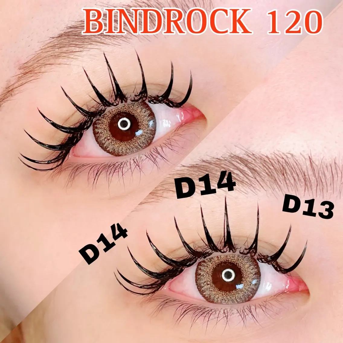🦋バインドロック100束＋美眉スタイリング🦋 ［オフ/再来様＋500円］の写真