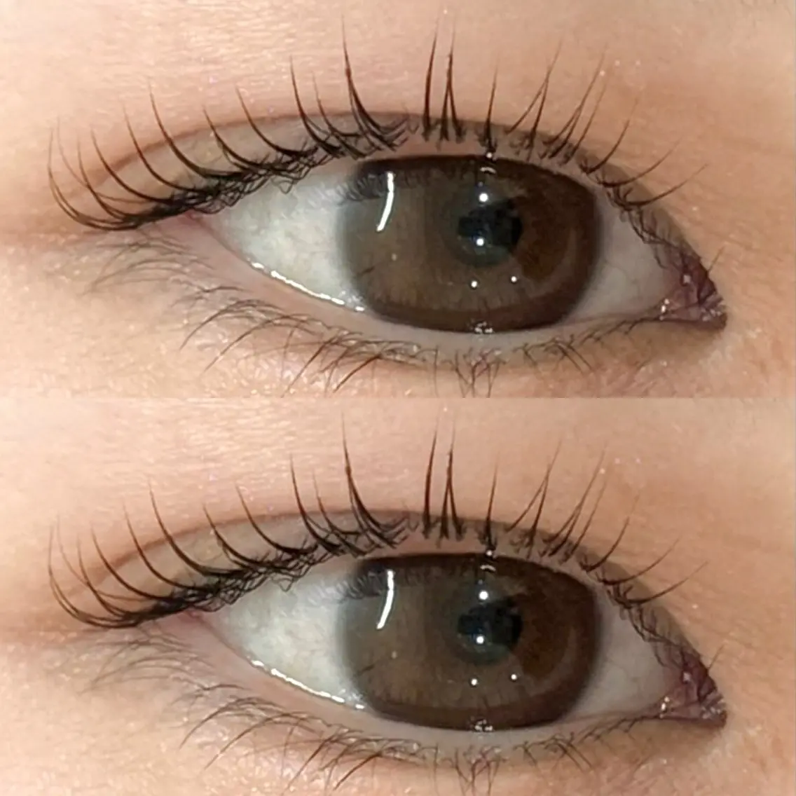 マツエク・マツパ M🐰✨ 上本町/谷九のマツエク・マツパデザイン