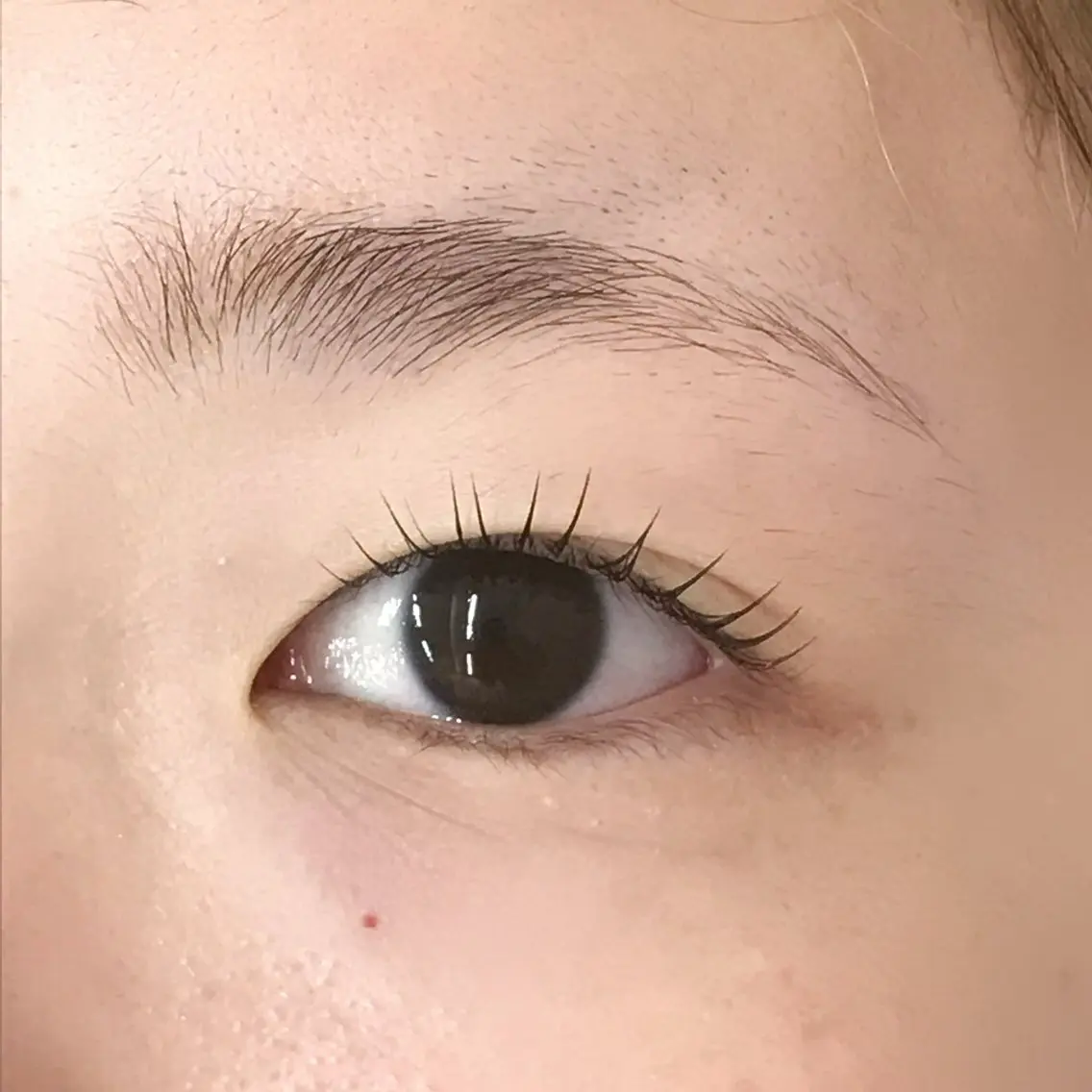 マツエク・マツパ uland yuzukiの眉毛・アイブロウイメージ