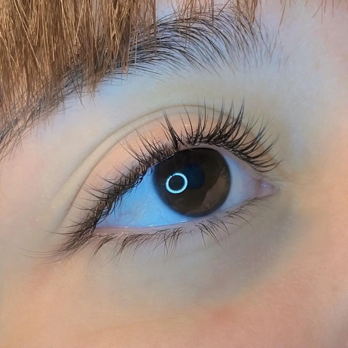 マツエク・マツパ フラットラッシュ マツエク eyelash hibiのマツエク・マツパデザイン