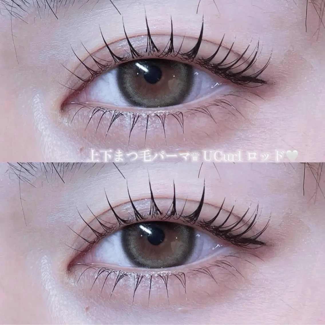 セットで🉐🧸《上下》パリジェンヌorラッシュリフト✨️高濃度ケラチンtr付き🩰の写真