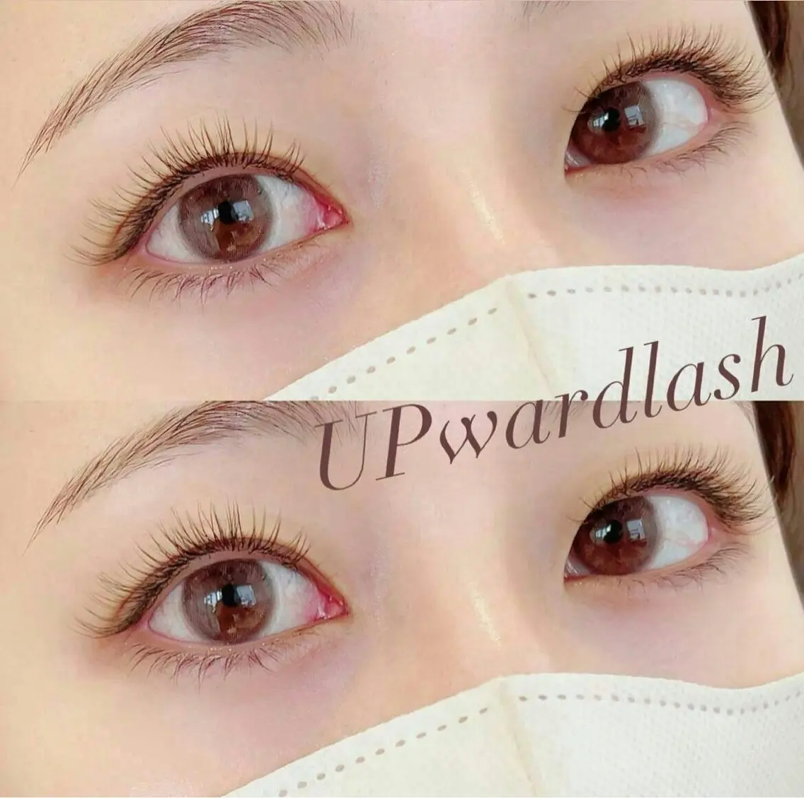 マツエク・マツパ eye__shu🥀 island 鎌倉の眉毛・アイブロウイメージ