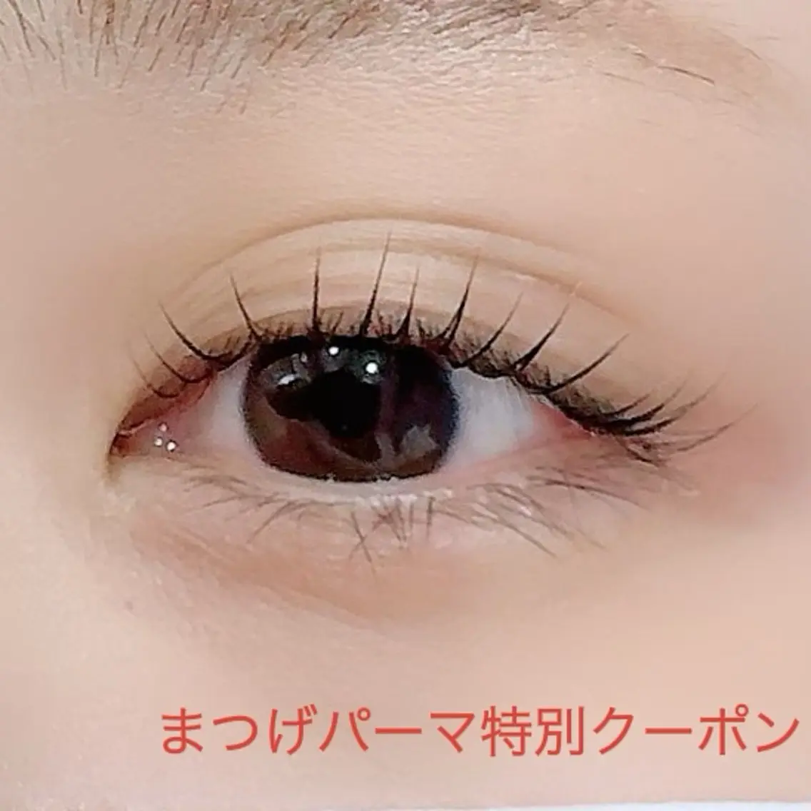 マツエク・マツパ マツパ 眉毛とまつ毛の専門店 アイルのマツエク・マツパデザイン