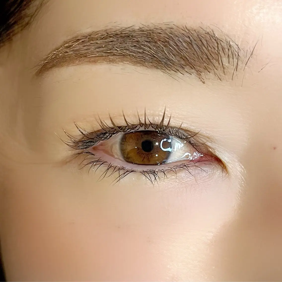 マツエク・マツパ カラーマツエク マツエク 🌼Rejou eyelashのマツエク・マツパデザイン