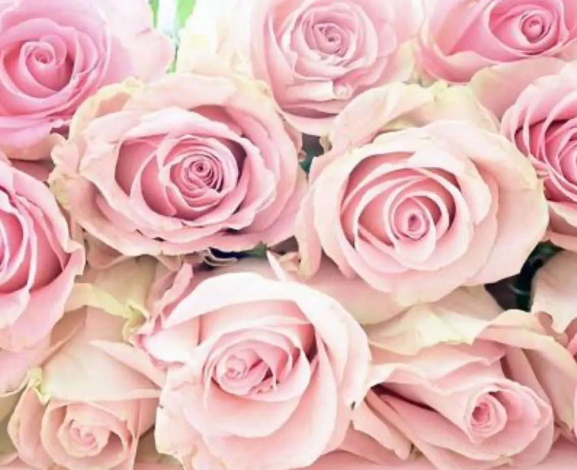 【ローズ蒸し】幸せホルモンの分泌を促すローズ蒸し🌹ダイエット/美肌/更年期/生理のお悩み/妊活中/温活/フェムケアに◎の写真