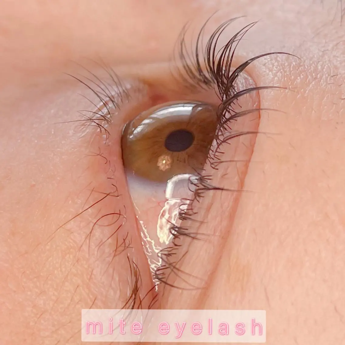 マツエク・マツパ mite eyelashのマツエク・マツパデザイン