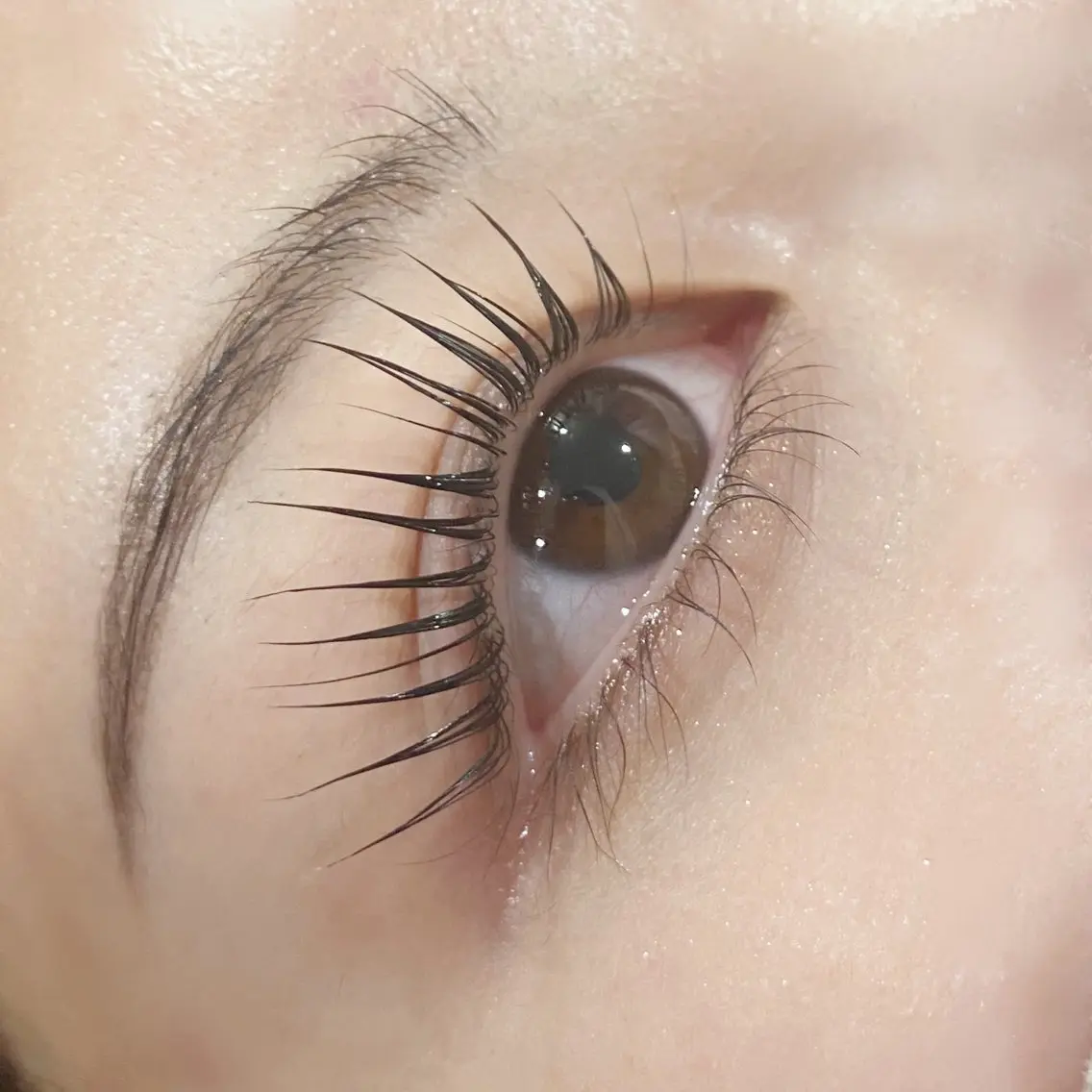 マツエク・マツパ パリジェンヌラッシュリフト マツパ Eyelash🌻 nakajimaのマツエク・マツパデザイン