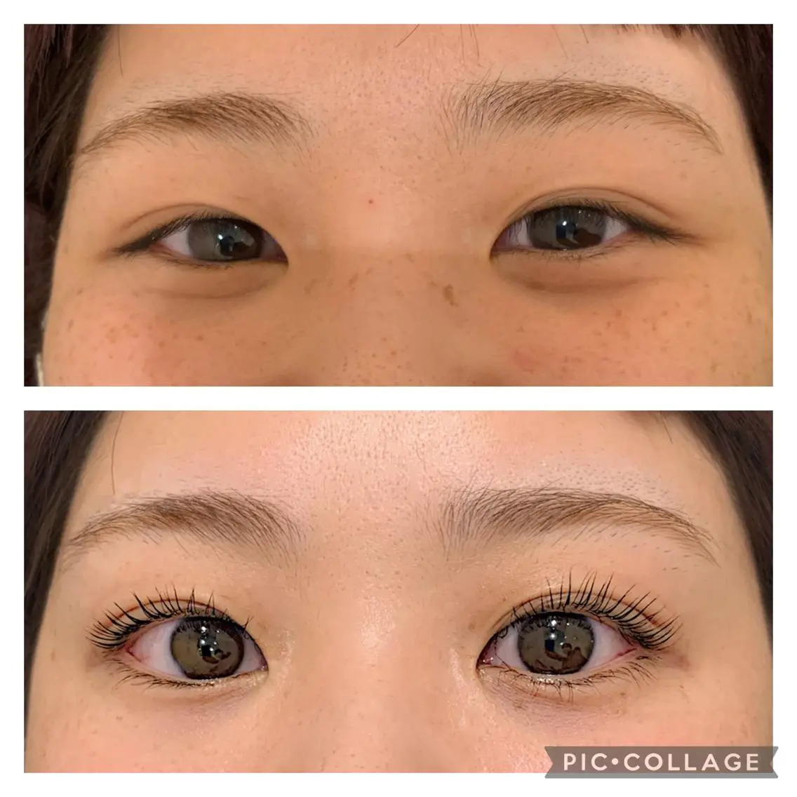 マツエク・マツパ Daisy hair eyelashのマツエク・マツパデザイン
