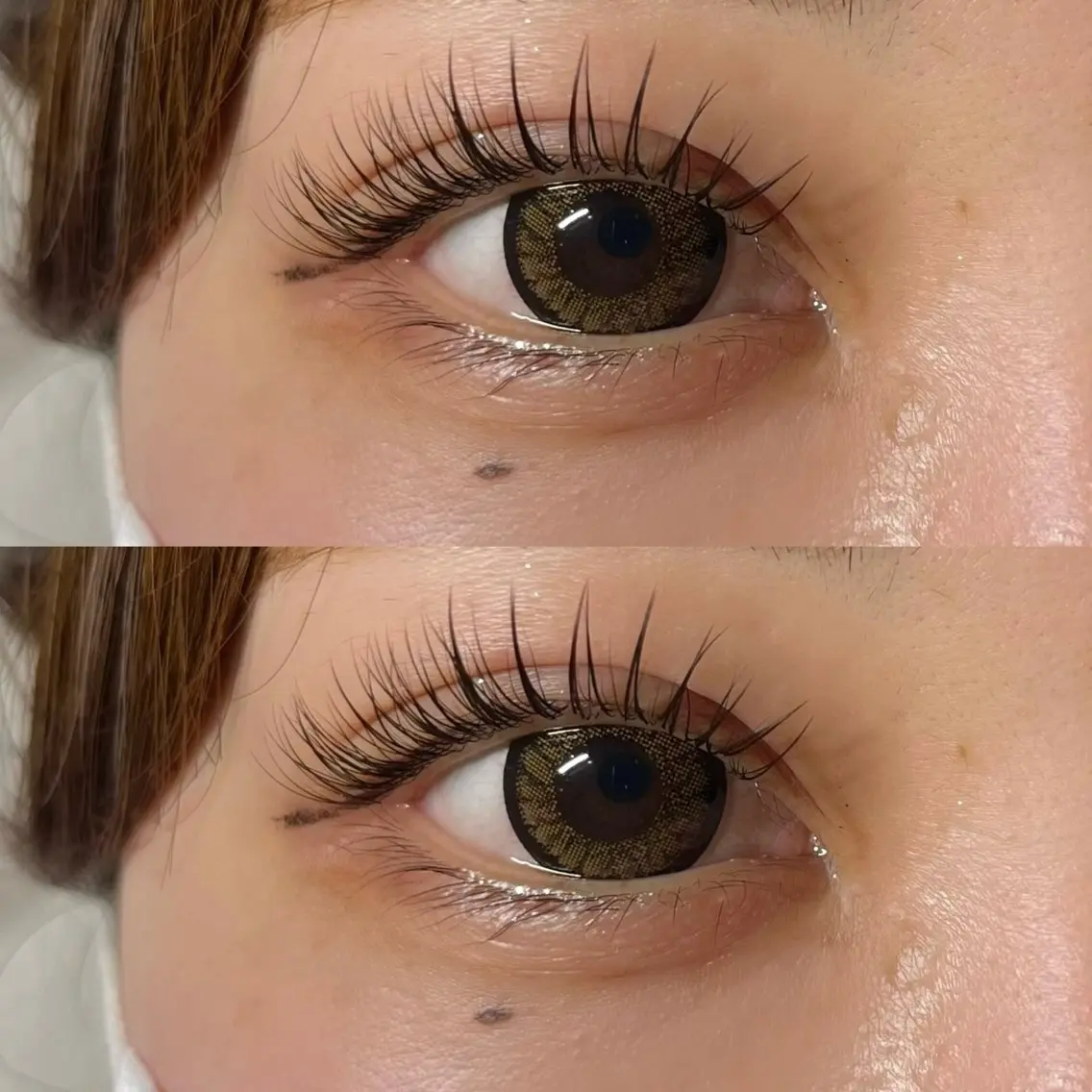 フラットマットラッシュ 120本の写真