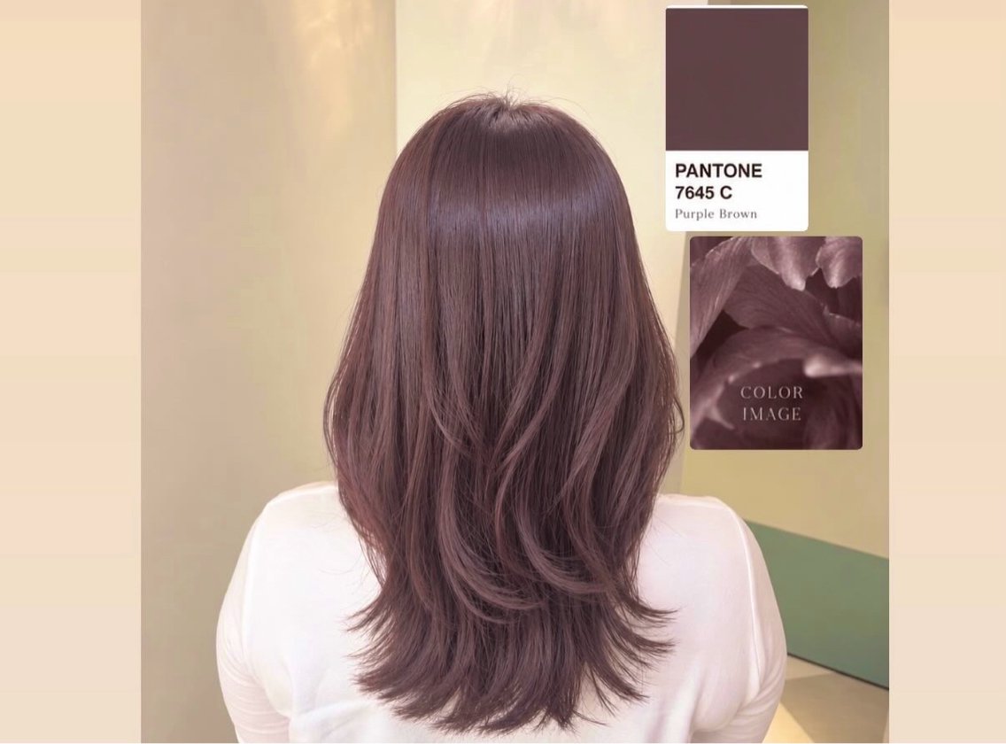 ミディアム カラー ブラウンカラー 透明感カラー パープルカラー パープルブラウン ヘアカラー トリートメント ヒナ/酸性ストレート /髪質改善のヘアスタイル