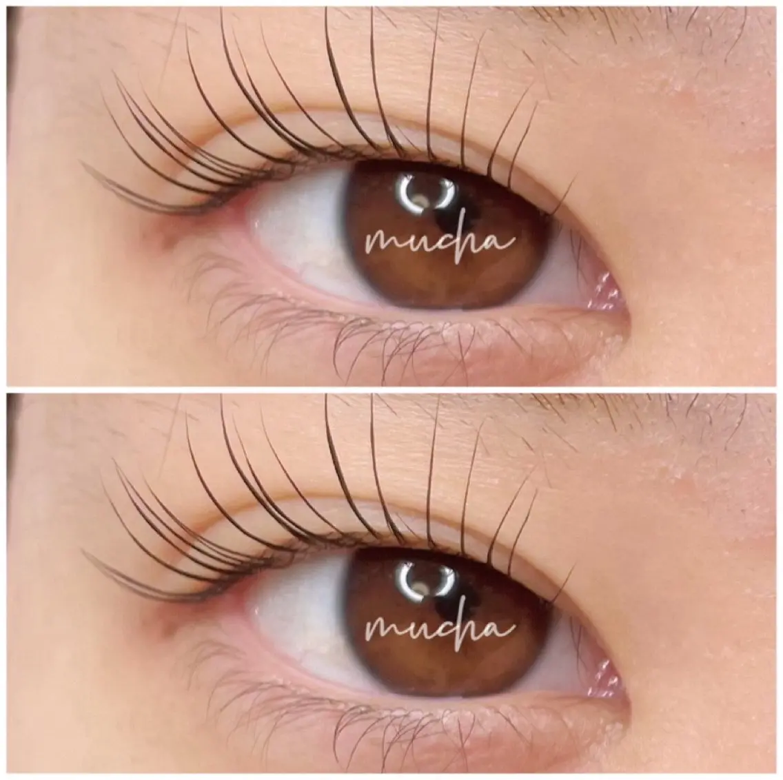 マツエク・マツパ eyelash muchaのマツエク・マツパデザイン