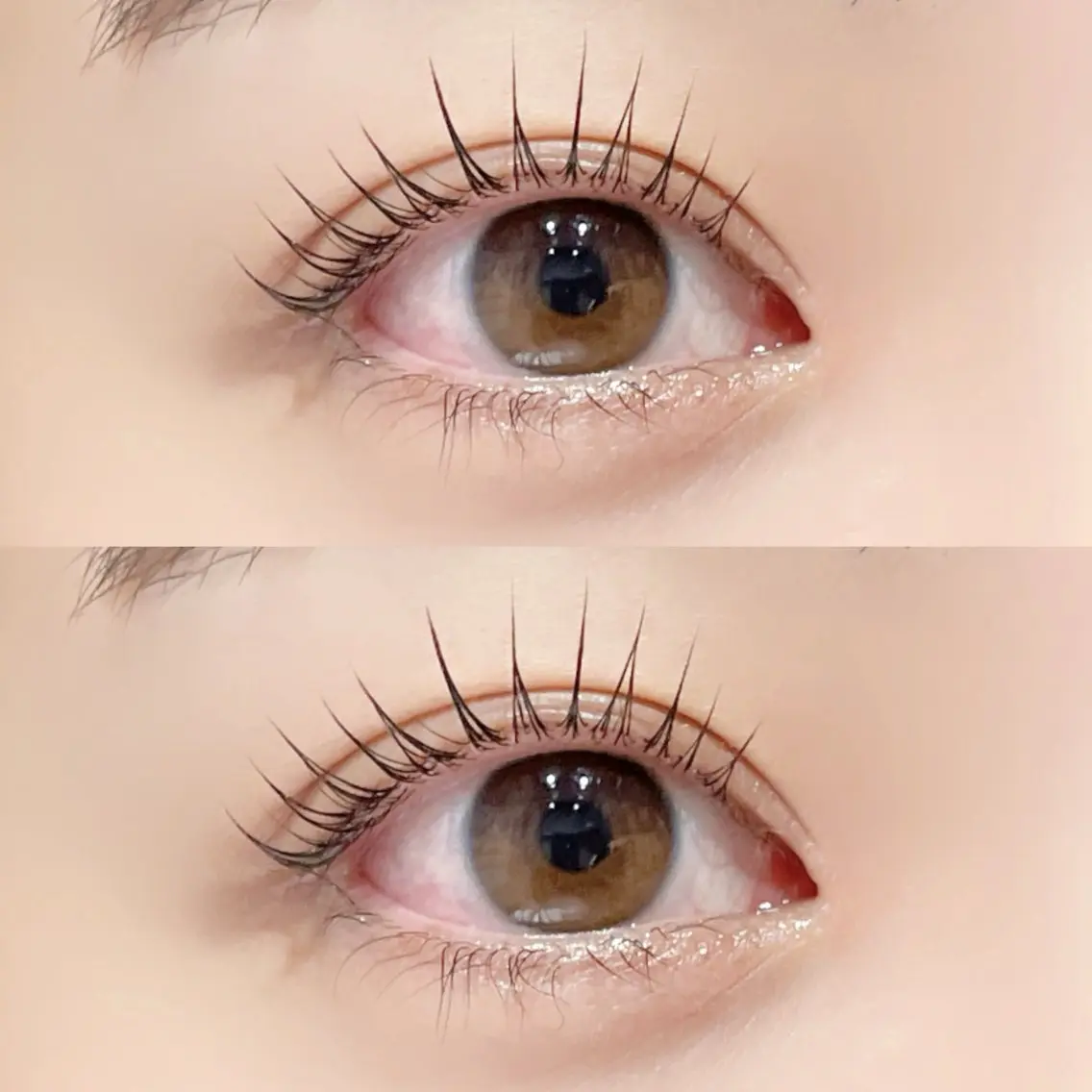 《ご新規様限定》まつ毛パーマ👀✨(+500円でパリジェンヌに変更可🙆‍♀️)の写真
