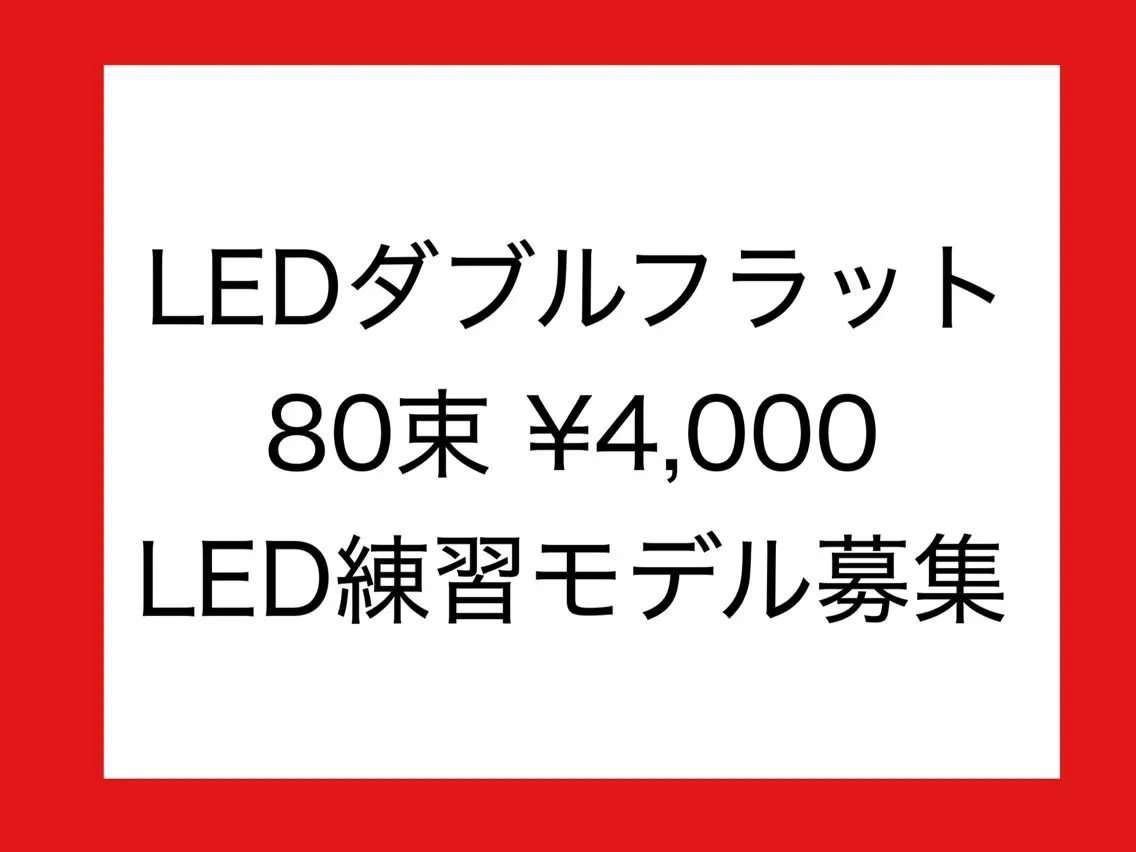 LED ダブルフラット80束 4000円の写真