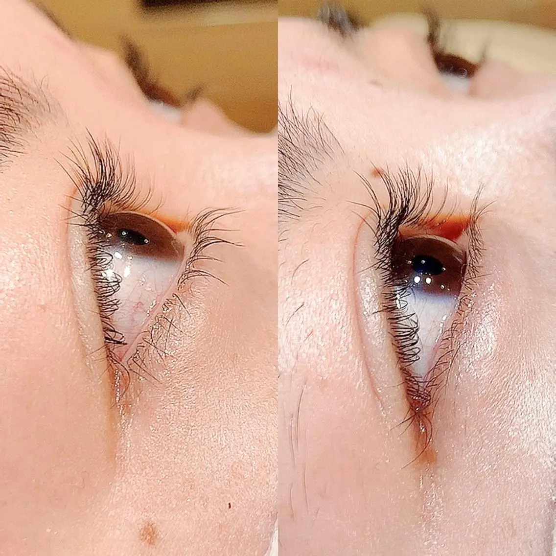 マツエク・マツパ まつげパーマ 下まつげエクステ Lilld eyelash大井町のマツエク・マツパデザイン
