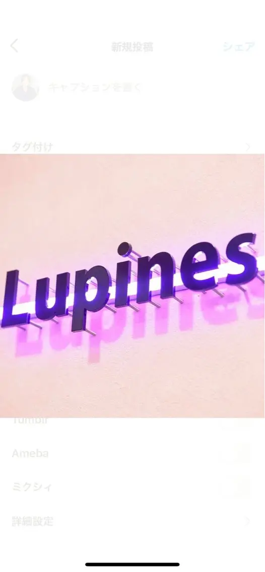 マツエク・マツパ Lupines 🐰ᩚのマツエク・マツパデザイン
