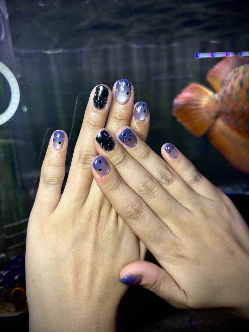 ネイル グラデーション マグネットネイル ハンドネイル Be Rac 🖤🐍🦋🥀のネイルデザイン