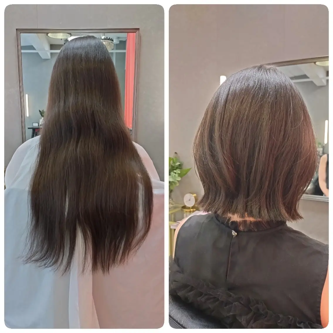 ミディアム カット ducca/ kariyaのヘアスタイル