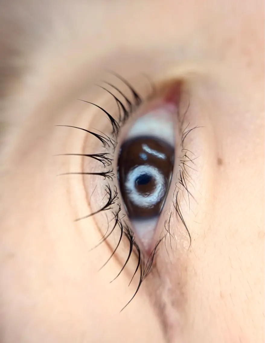 マツエク・マツパ Lash Lift WAVE🩵の眉毛・アイブロウイメージ