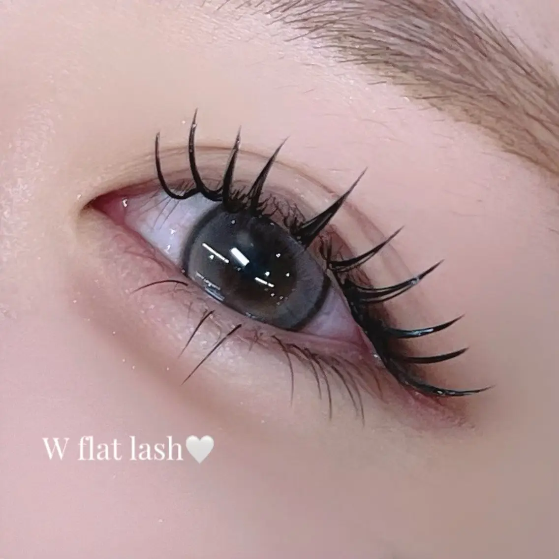 Wフラットラッシュ100束🎀 (J.C.Dカール  コーティング付き)の写真