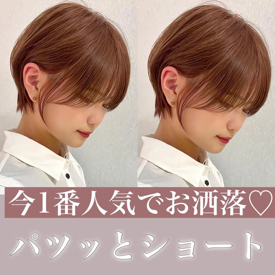 ショート カラー ショート、ボブの達人 東康介✨のヘアスタイル