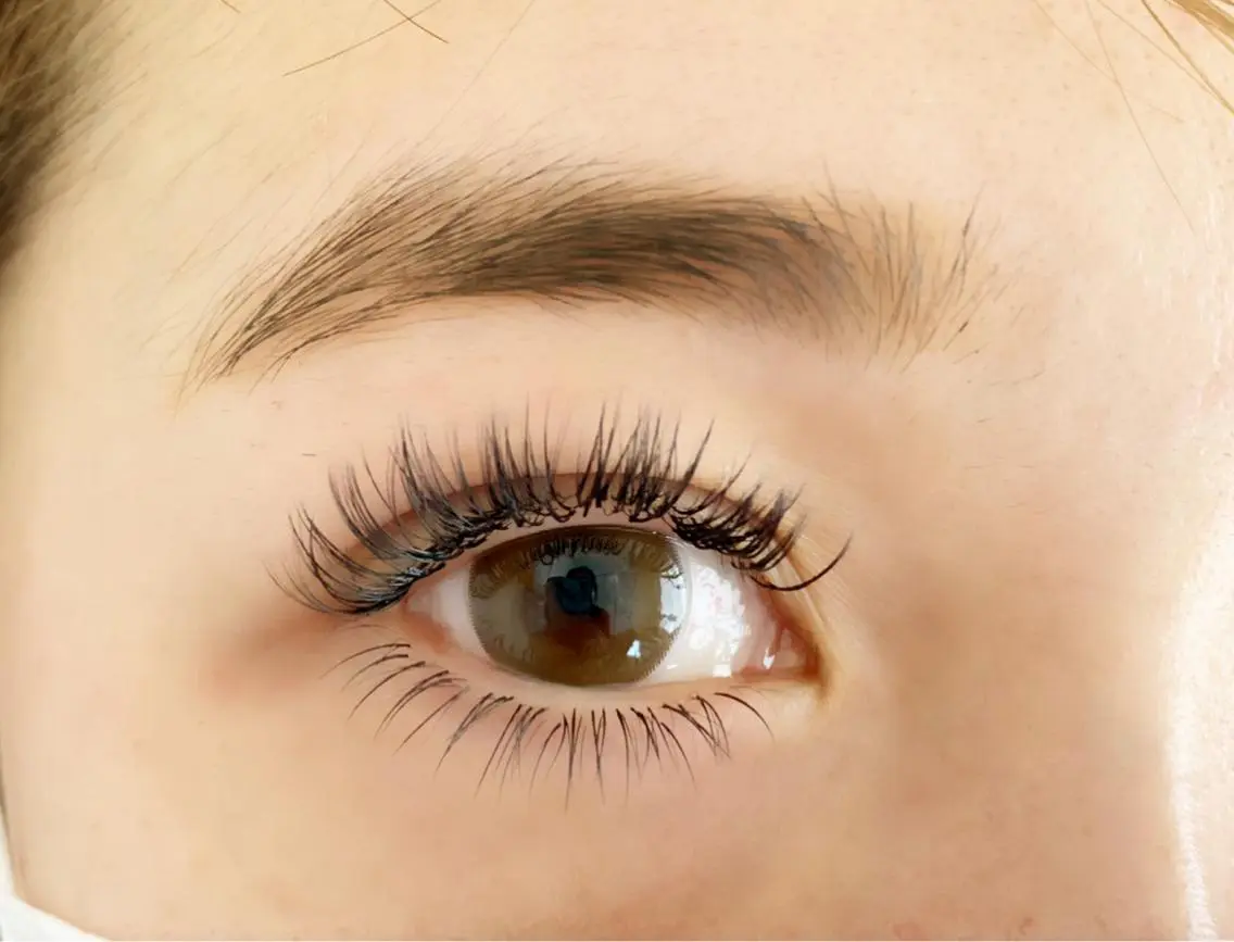 フラットラッシュ  100本の写真