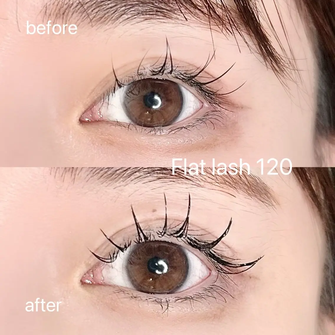 マツエク・マツパ フラットラッシュ マツエク elua eyelashの眉毛・アイブロウイメージ