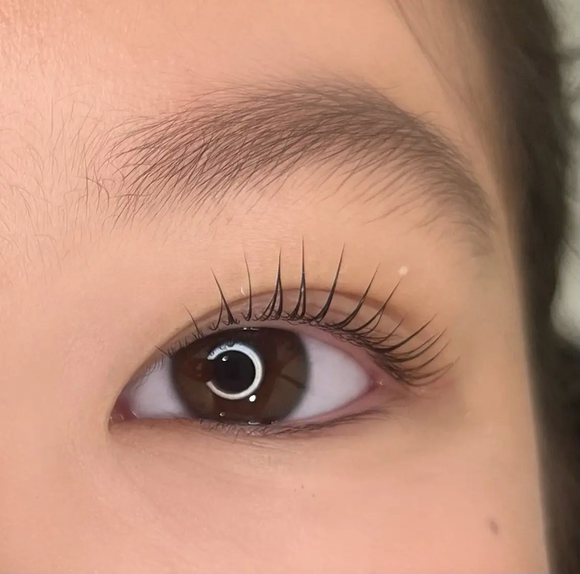«まつげパーマ、トリートメント付き»LAラッシュリフト🐩🫧の写真