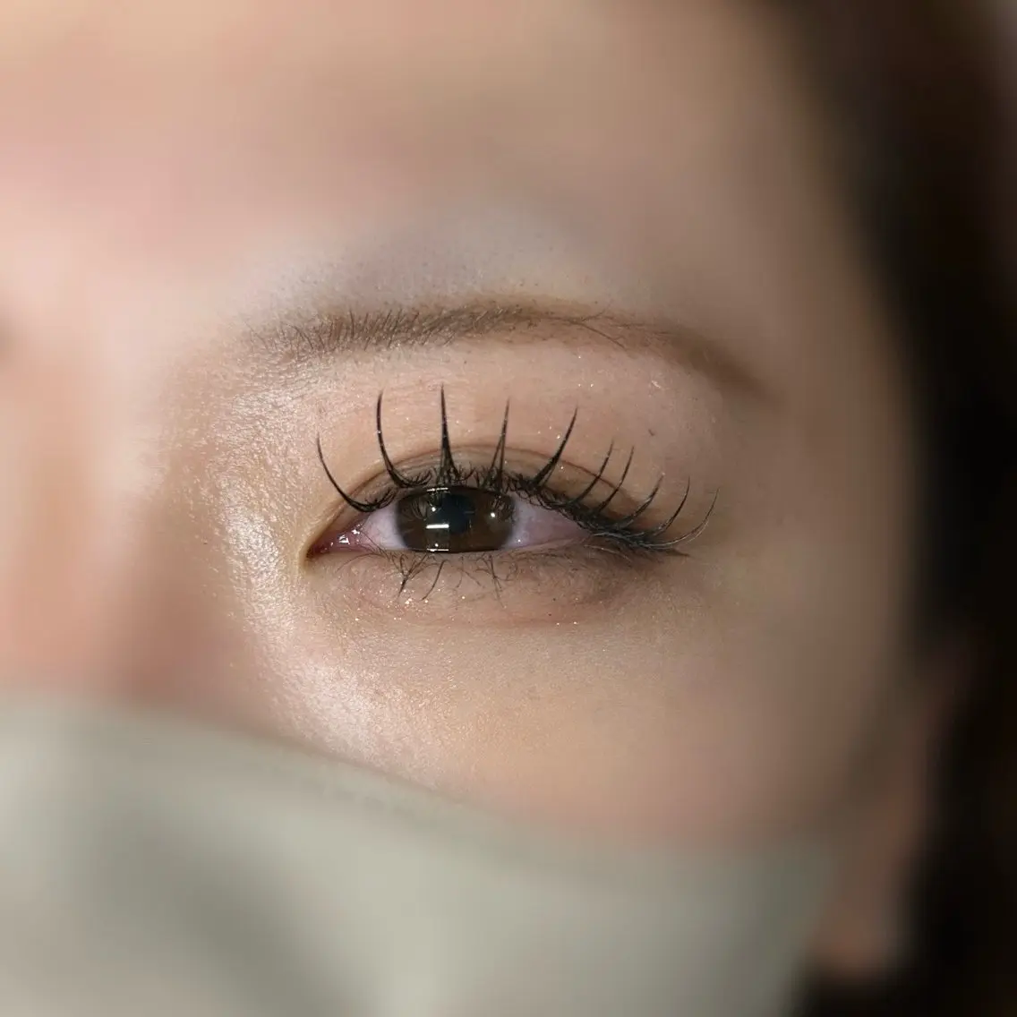 フラットラッシュ140本の写真