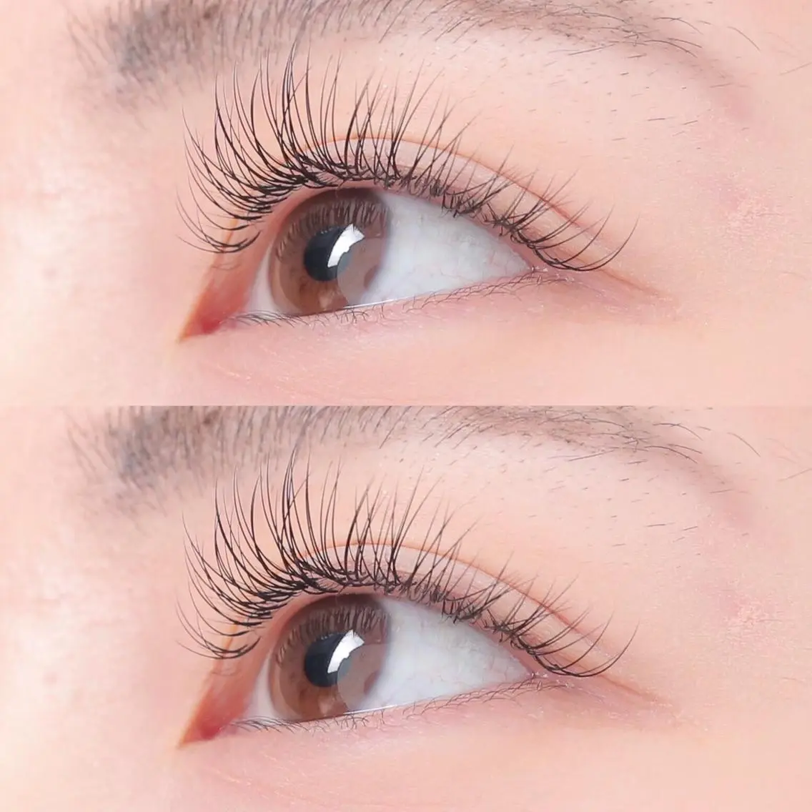 マツエク・マツパ chiri/似合わせ /韓ドルまつ毛パーマのマツエク・マツパデザイン