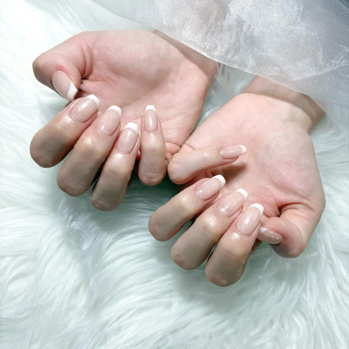 【オフなし】HAND/フレンチの写真